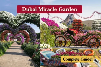 Dubai Miracle Garden