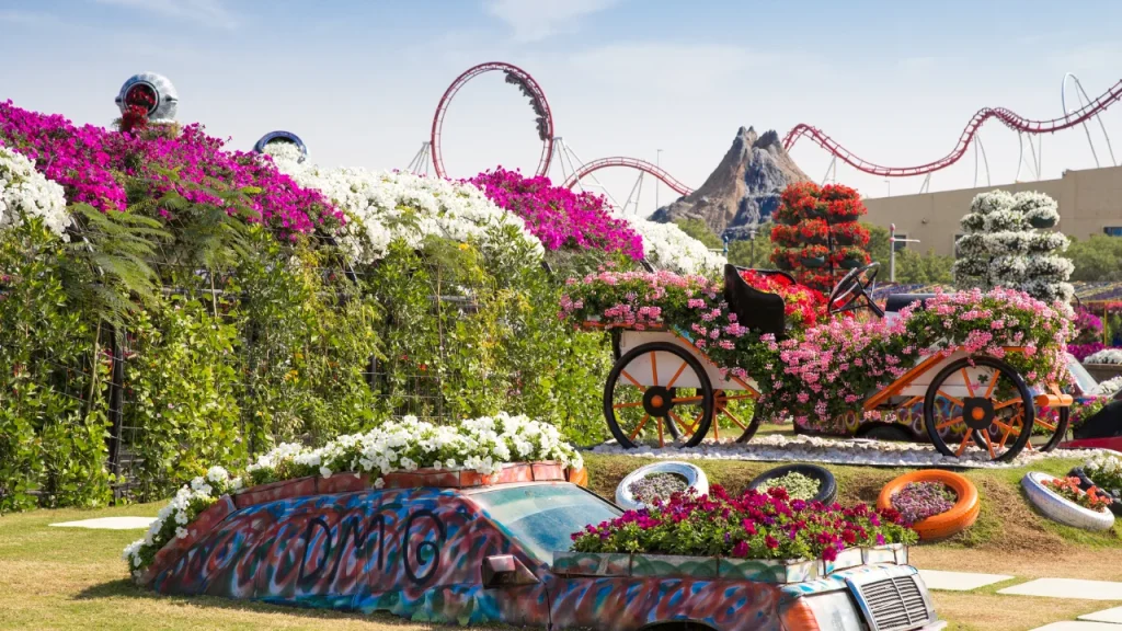 Pros and Cons of Visiting Dubai Miracle Garden